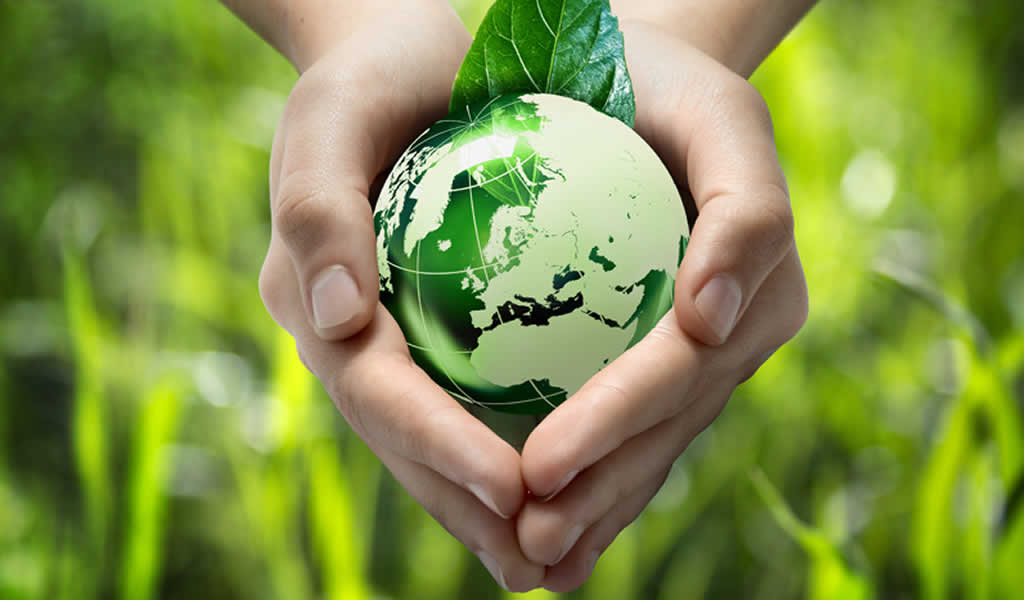 Medio Ambiente y Sostenibilidad