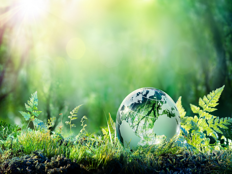 We work with clients around the world to provide environmental expertise across the full lifecycle of their projects. We work as partners, helping to research and understand environmental impacts, strengthening the performance of our clients’ proposed designs and investments.