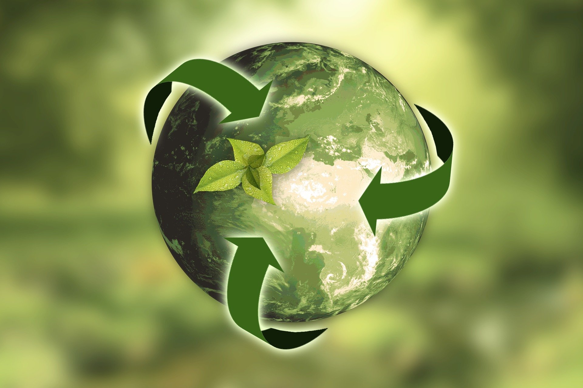 INCIMAT helps organisations and communities reduce global and micro-level risk by applying our understanding of the natural world and its practical connection to business.