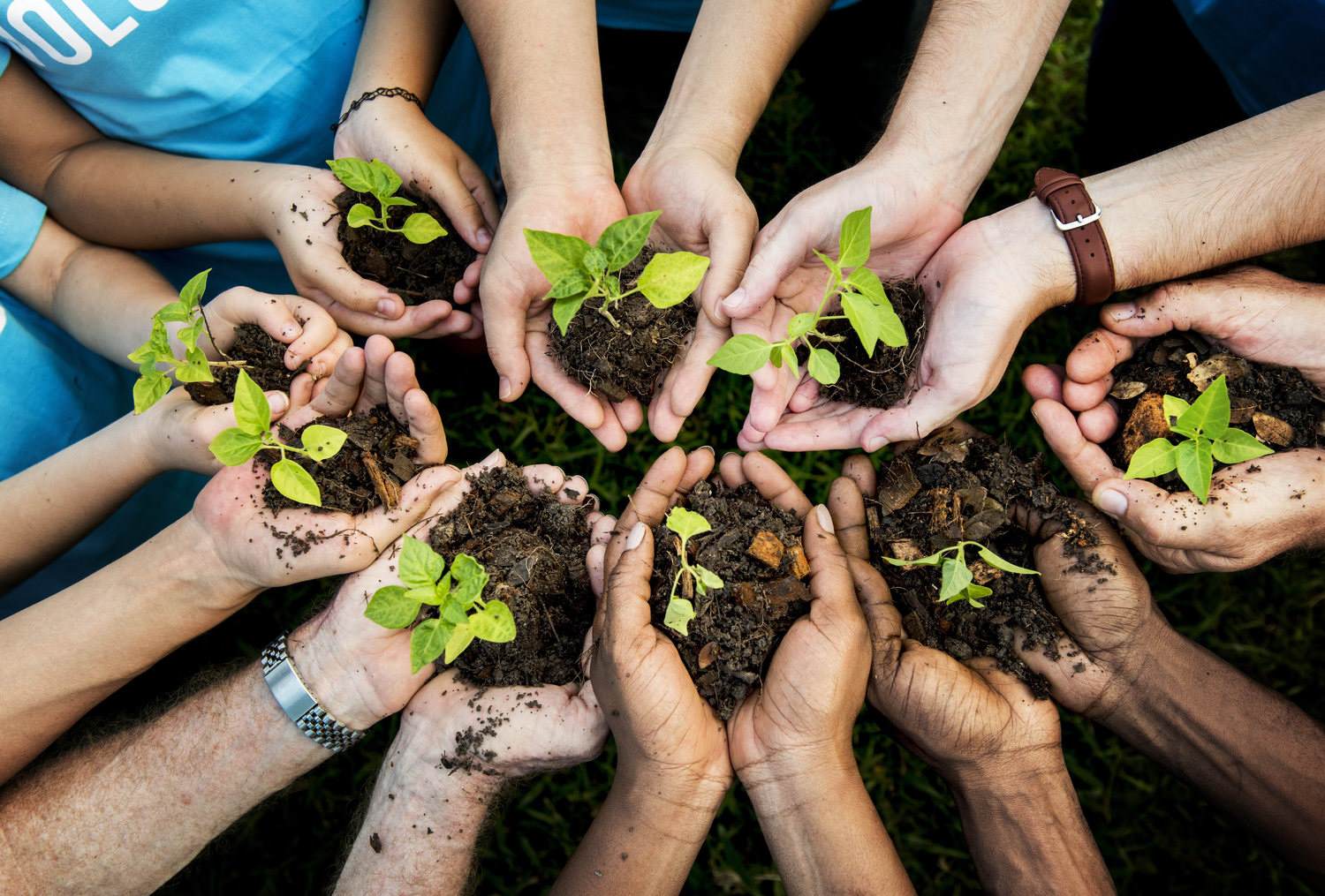 We can produce insights relevant to every operational element of your organisation through the definition of your ESG strategy, analysing and exploring your market/sector, identifying operational and social priorities, the invest sustainably and profitably, reporting and disclosure