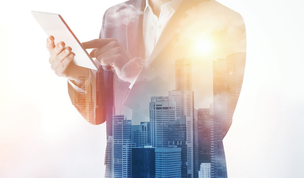 Desarrollo de negocios