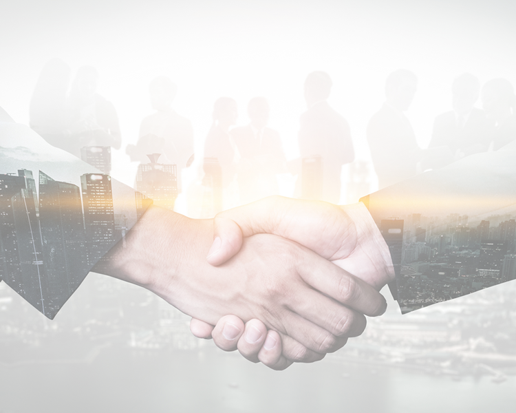 You gain the benefit of being able to tap into, and mobilise, specialists from our global network. Whether you operate in the private or public sector, or other institutions. Our aim is to provide services relevant and targeted to your project and context.